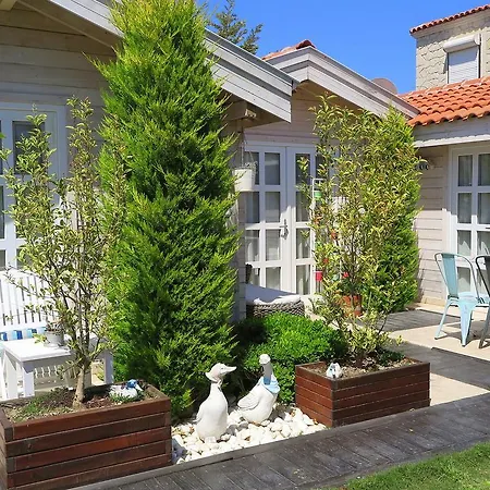 Bay C Hotell