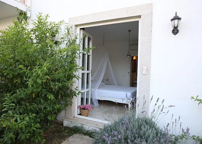 Bay C אלאקאטי